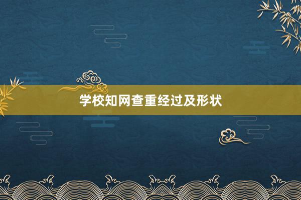 学校知网查重经过及形状