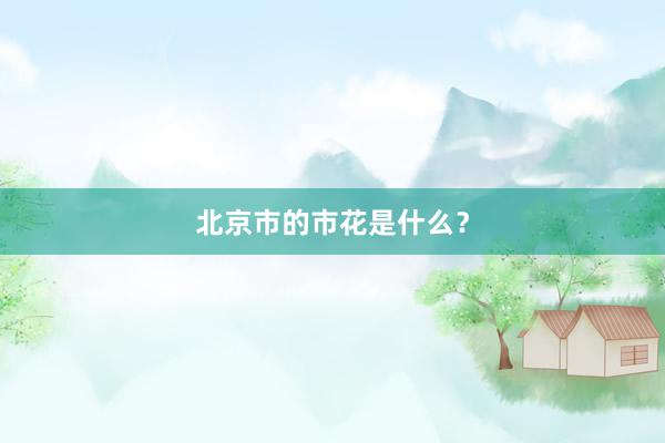 北京市的市花是什么？