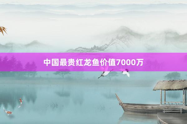 中国最贵红龙鱼价值7000万