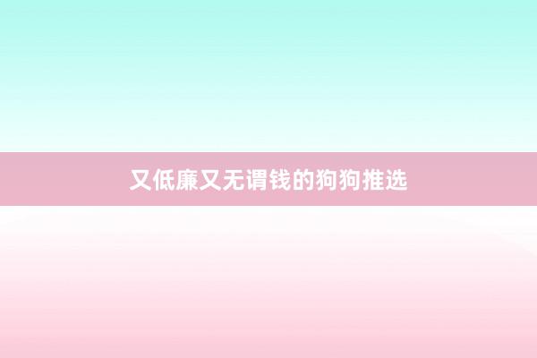 又低廉又无谓钱的狗狗推选